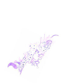 Lilac by Johanna Fernihough