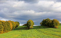 Herbstfeld von Wolfgang Dufner