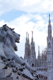 Milan by Alice Luidelli