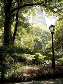 Central Park by Darren Martin