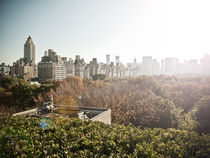View From the Met Museum. by Darren Martin