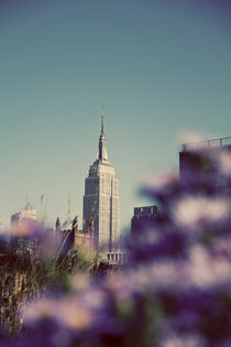 The Empire State Building von Darren Martin