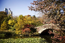 CENTRAL PARK FALL COLORS by Darren Martin