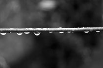 Rain Drops von Nick Flegg