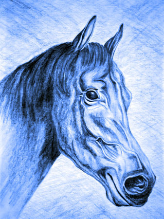 Pferd-blue