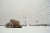Tree and power pylons by Palle Smith-Petersen