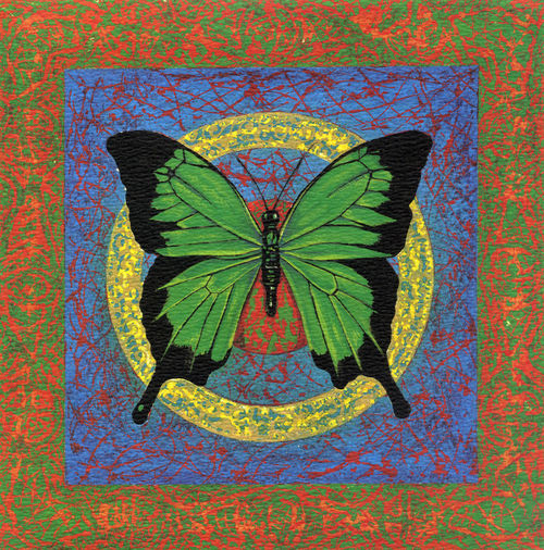 Green-butterfly288-copy