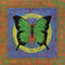 Green-butterfly288-copy