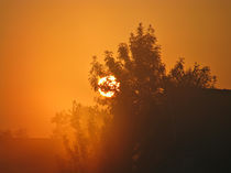 Sunrise von Marina Herceg