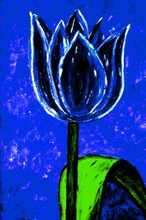 Tulip by Christine Bässler