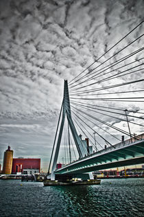 Erasmus bridge, Rotterdam von Stefan Antoni - StefAntoni.nl