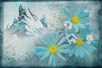 Mountain Flowers von Rozalia Toth