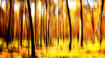 Herbstimpression by Matthias Rehme
