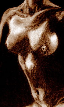 Akt - Frau - Brüste - Sepia von Susanne Edele