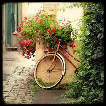 La Bicyclette au Geranium by Marc Loret