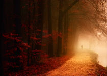 Misty autumn road