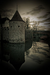 Hallwyl castle. Gothic reflection.