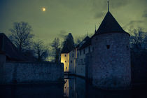 Hallwyl castle. Light in Waltz. by julia-britvich-art-photography