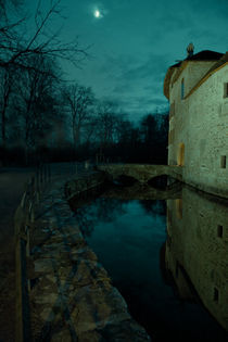 Hallwyl castle. Shadow Time. von julia-britvich-art-photography