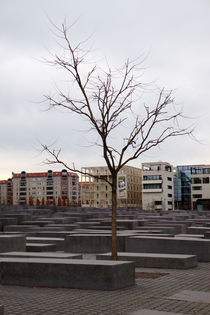 Berlin,Holocaust monument von Nathalie Matteucci
