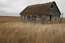 Lonely Prairie Homestead von Steven Ross