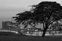 Silhouette of tree with building in the background by erich-sacco