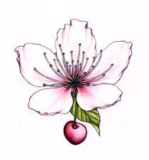 Cherry blossom von Lovro  Srebrnic