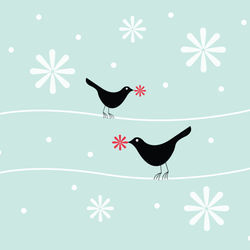 Snowflakebirds