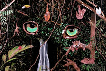 Jungle Eyes by Robert Ball