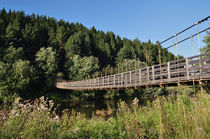 Bridge von yjinbs