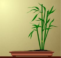 Bamboo in a Bonsai Pot von Tim Seward