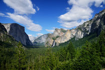 Yosemite National Park by RicardMN Photography