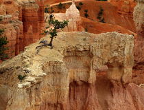 Bryce canyon. UTAH. von Maks Erlikh