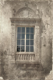 Window von Rozalia Toth