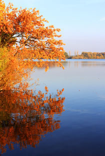 Herbst am Ufer von Wolfgang Dufner