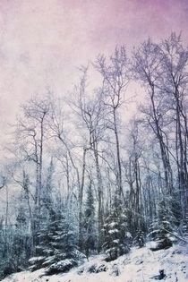 'winter forest/winterwald' by Priska  Wettstein