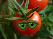 Tomatengesicht von regenbogenfloh