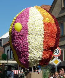 Heisslufballon - Blumen von regenbogenfloh