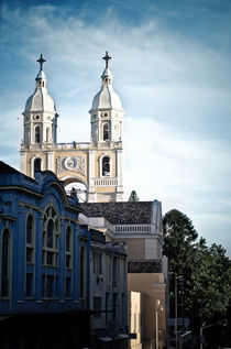 Metropolitan Cathedral of Florianópolis by Arthur Brognoli