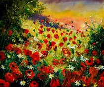 red poppies 56 by pol ledent