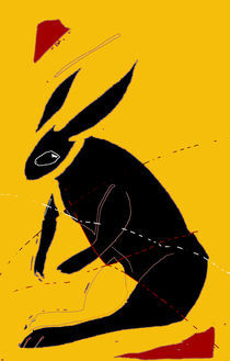 Rabbit/Hare von literal-illustrations