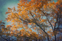 Vintage autumn by AD DESIGN Photo + PhotoArt