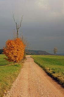 Herbstlandschaft by Juana Kreßner