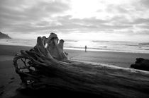 Pacific Beach von Weston Baker