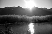 Quinault River Valley by Weston Baker