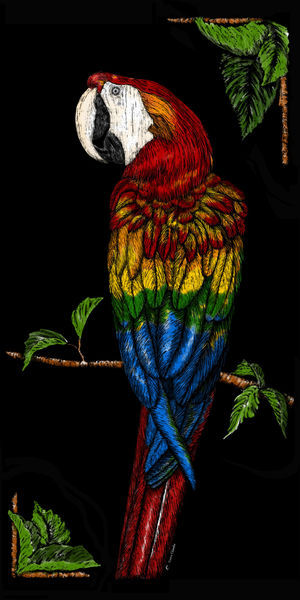 Cbeck-parrot-colorful
