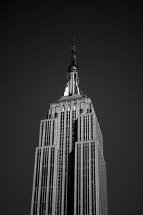 Empire State Building, New York by David Carvalho