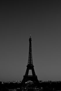 Eiffel Tower by David Carvalho