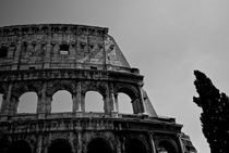 Coliseum, Rome by David Carvalho