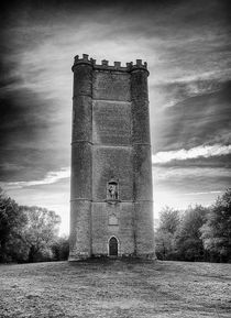 King Alfreds Tower  B&W by andrew  Bowkett